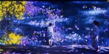 teamLab——風靡全球的沉浸式網(wǎng)紅展項體驗！